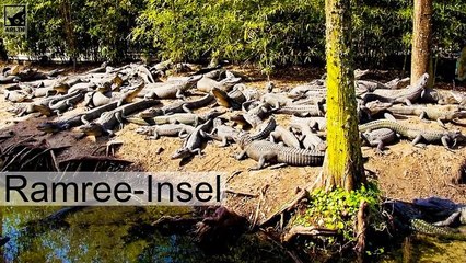 Die gefährlichsten Inseln der Welt