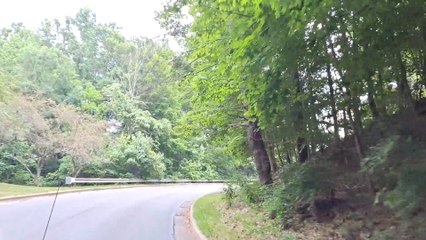 The Ridges Lunatic Asylum