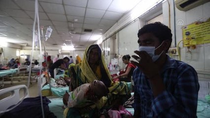 UTTAR PRADEŞ - Hindistan'da dang humması vakaları artıyor