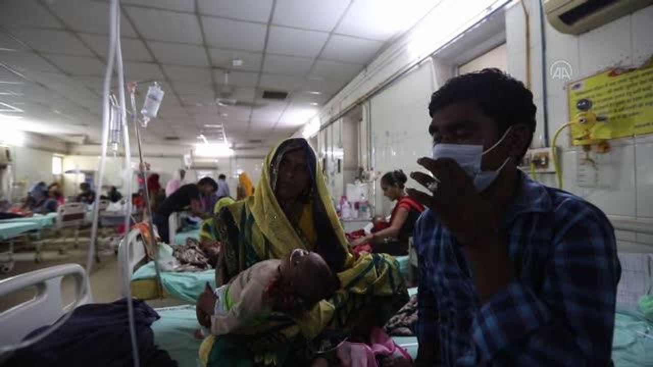 UTTAR PRADEŞ - Hindistan'da dang humması vakaları artıyor