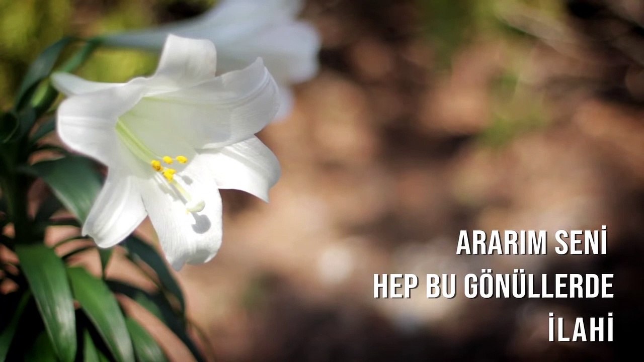Müziksiz İlahiler - Ararım Seni Hep Bu Gönüllerde