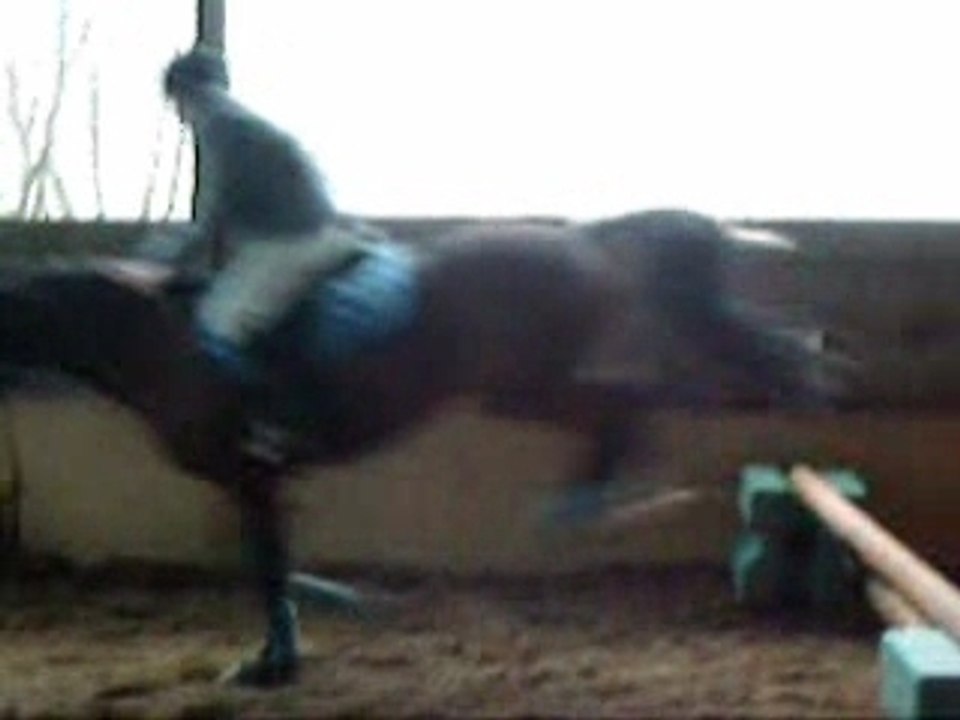 saut avec nelthus