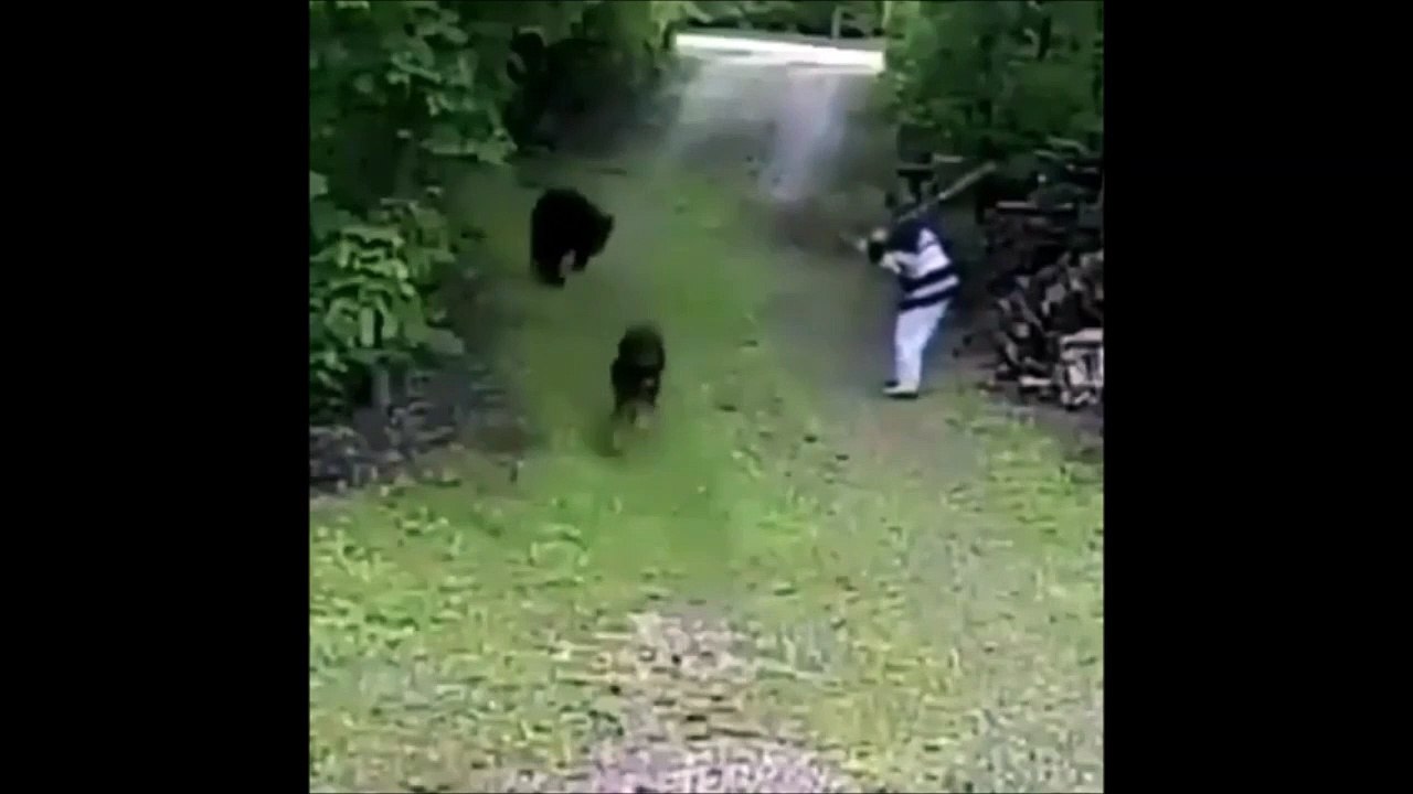 Elle se fait charger par un ours en essayant sauver son chien ! Chanceuse