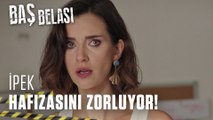 İpek hafızasını zorluyor! - Baş Belası 13. Bölüm (Final)