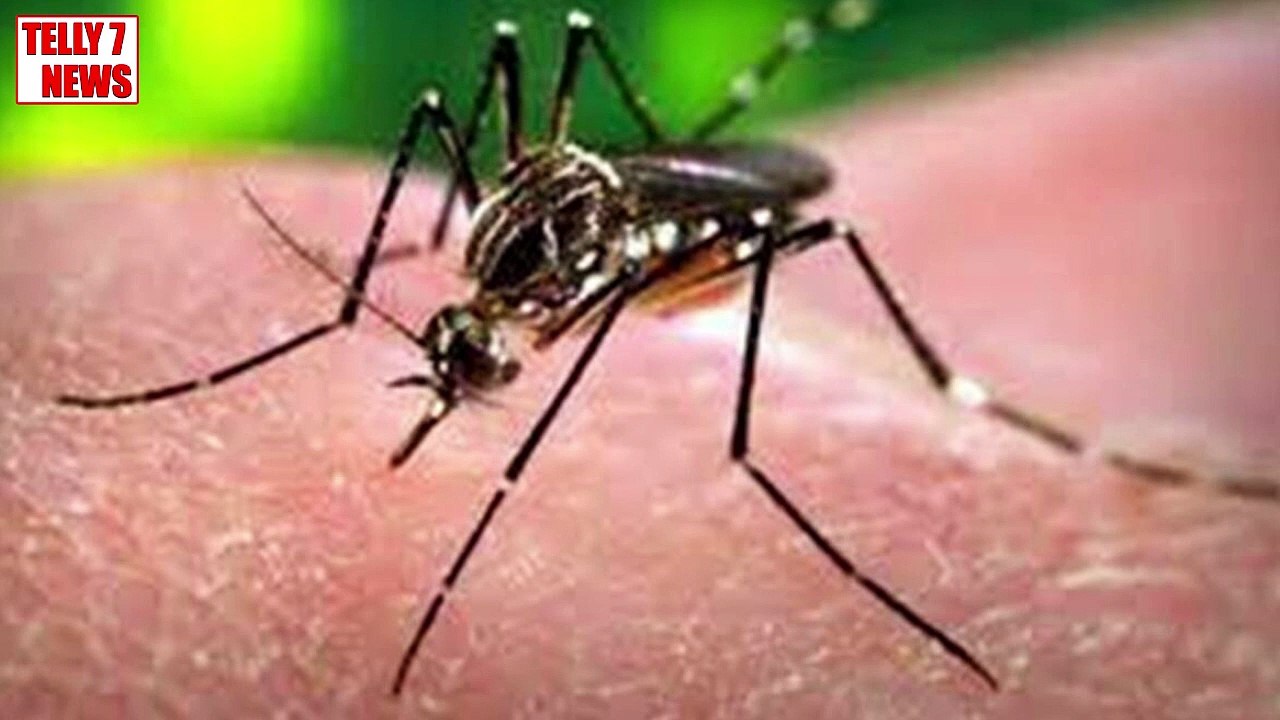 हो जाए सावधान नहीं तो जा सकती है जान Corona के बाद Dengue के D2 वेरिएंट देश के लिए खतरा !! Latest News