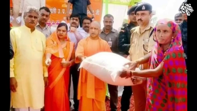 Polticians Statements & Controversies | Jadui thela to Country Hiest | HG Tigerwoods