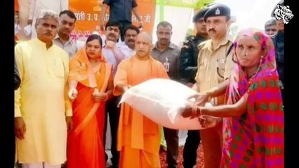 Polticians Statements & Controversies | Jadui thela to Country Hiest | HG Tigerwoods