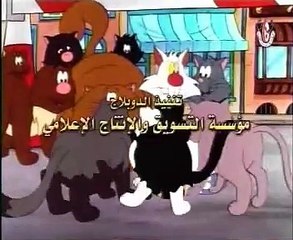 بسبس وهرهور (10) (أطفال بدون موسيقى)