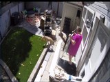 Loose Hose Proves Hazardous