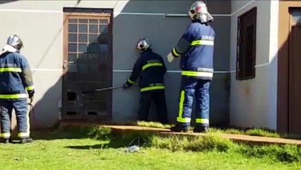 Pitbull ataca dona em residência no Bairro Cancelli