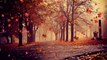 Autumn maple leaves falling trees park background composite