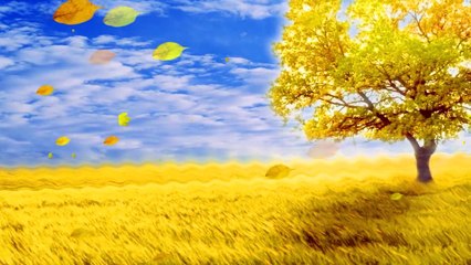 Big tree falling leaves wind blowing autumn season dynamic background