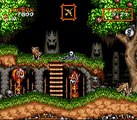 Super Ghouls'n Ghosts online multiplayer - snes