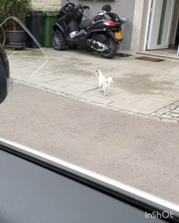 &Tisch stehn* Baumarkt* PfirsichMirabellenchiapuddingsmoothie* erneutes shoppen mit Yan