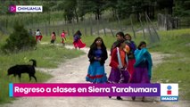 Niños de la Sierra Tarahumara regresaron a clases presenciales