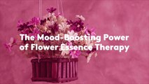 The Mood-Boosting Power of Flower Essence Therapy