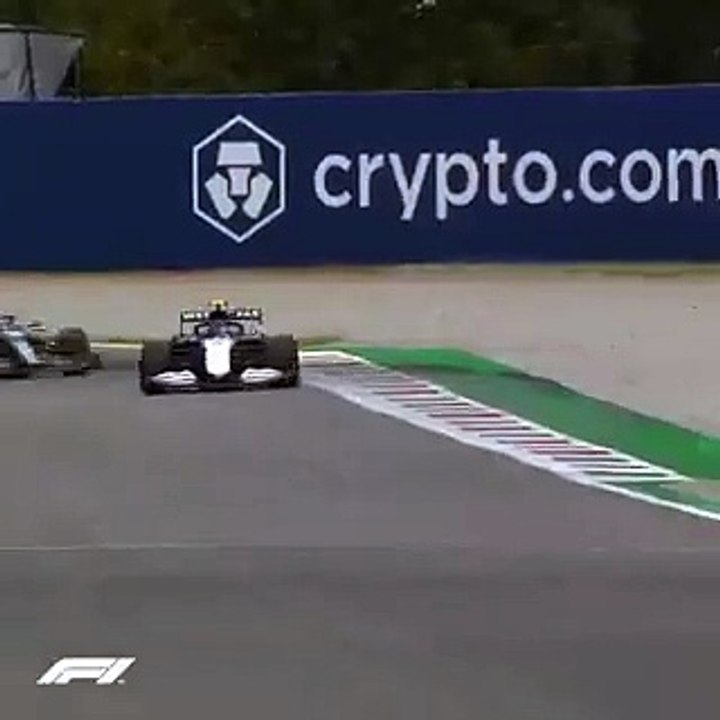 Coelho na pista