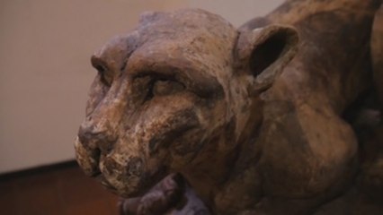 Las obras de chocolate de un chef que homenajea a la fauna y flora boliviana