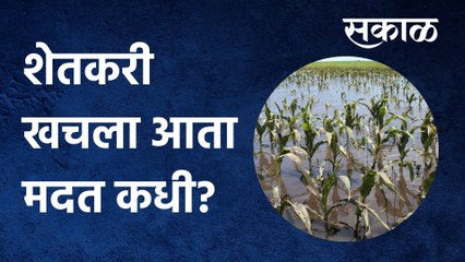 Kolhapur: शेतकरी खचला आता मदत कधी?