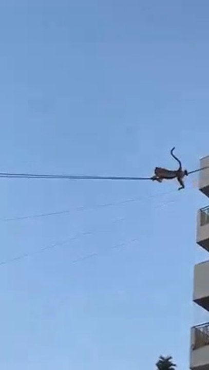 He Guys.... Lets have a unique fun........