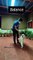 Dog Walks on Hind Limbs to Procure Treat From His Trainer
