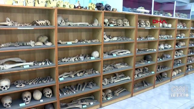 Antik DNA Laboratuvarı tarihe ışık tutuyor
