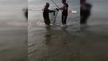 Eskişehirli balıkçı dev sazan balığını böyle yakaladı