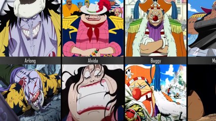 One Piece Characters Before & After Fighting Luffy!