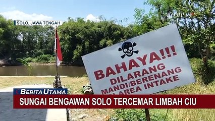 Sungai Bengawan Solo Kena Limbah Ciu dan Tekstil