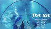 陳濤 - 【True Love】Official Music Video