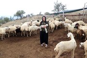 Aksaray'da hibe destekli projelerle tarım ve hayvancılık hızla gelişiyor