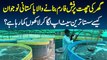 Ghar Ki Chat Per Fish Farm Banane Wala Pakistani - Sasta Setup Laga Kar Kese Lakhon Kamata Hai?