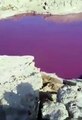 ظهور مياه حمراء مجهولة المصدر بالقرب من البحر الميت