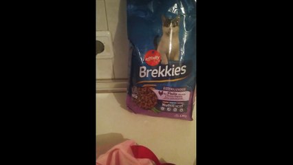 rutina tarde antes de volver a la normalidad