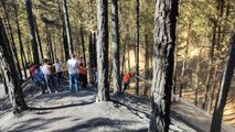 Son dakika haberi | Bingöl'de çamlık alanda çıkan yangın büyümeden söndürüldü