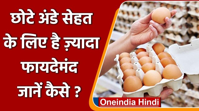 Small Egg: मुर्गी का Small Egg सेहत के लिए है ज्यादा beneficial, जानिए क्यों? | वनइंडिया हिंदी
