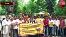 गाय को राष्ट्रीय पशु घोषित करने के लिए लोगों का प्रदर्शन, बोले हत्या बंद हो
