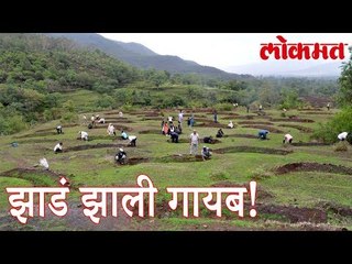 तब्बल चार कोटी खर्चून लावलेली झाडं झाली अचानक गायब! | Lokmat News