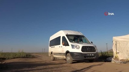 Bitlis'te tarladaki çiftçilere aşı hizmeti