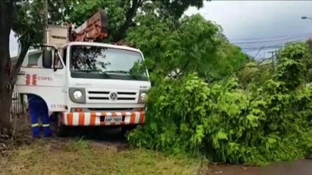 Queda de galhos de árvores provoca rompimento de fiação no Bairro Pioneiros Catarinenses