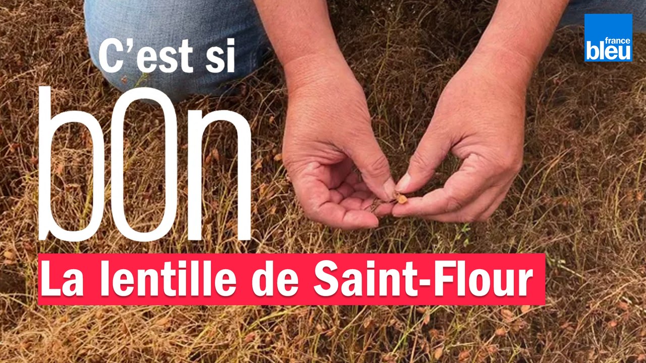 C'est si bon la lentille blonde de Saint-Flour