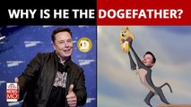 Elon Musk's Doge Tweet sends Dogecoin soaring | Musk Effect