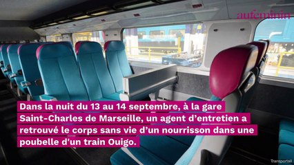 Le corps sans vie d’un nourrisson retrouvé dans une poubelle d’un train Ouigo