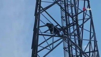 Alkolün etkisiyle çıktığı direkte sızdı