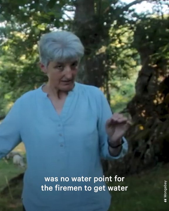 Spain Farmers Use Agroforestry to Fight Forest Fires