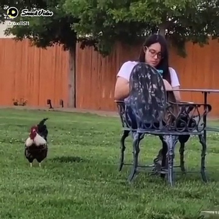 cock attack on a girl funny clip