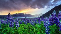 SONY DEMO 4K:  Reflections Iceland - Du lịch đất nước hòa bình xinh đẹp nhất Châu Âu