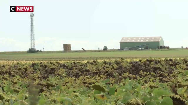 Agriculteurs : 600 millions d'euros contre les catastrophes climatiques