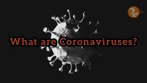 Covid-19 | What are Coronaviruses?