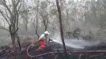 Orman yangını, mangal kömürü üreticilerinin müdahalesiyle büyümeden söndürüldü